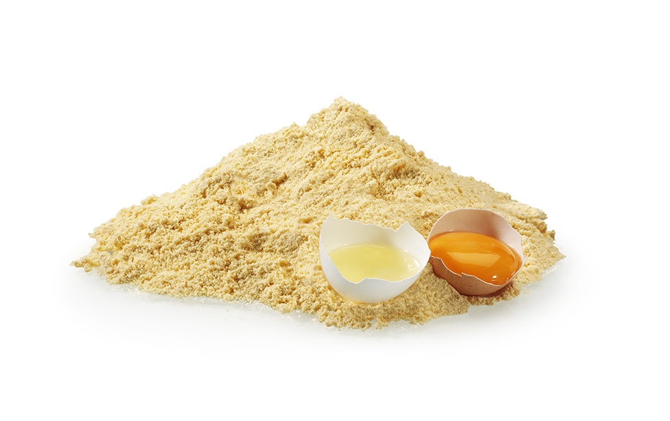 DEPS: egg powder supplier 